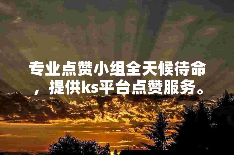 专业点赞小组全天候待命，提供ks平台点赞服务。