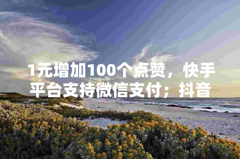 1元增加100个点赞，快手平台支持微信支付；抖音24小时服务 - 抖音业务优惠 - dy全天候自助下单系统。