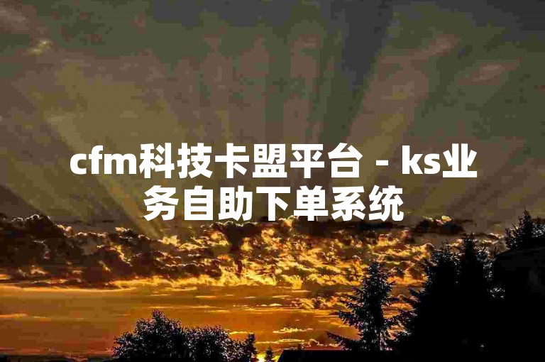 cfm科技卡盟平台 - ks业务自助下单系统