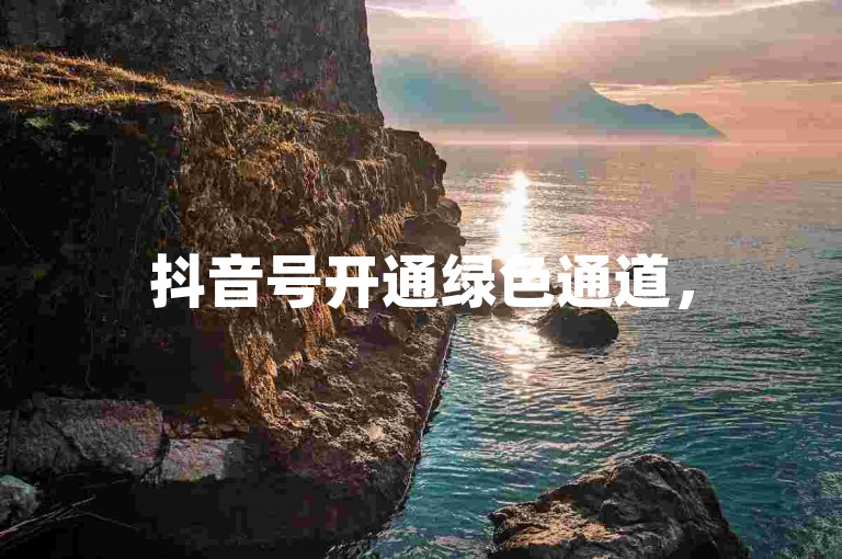 抖音号开通绿色通道，5元200粉自助下单平台。