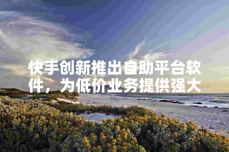 快手创新推出自助平台软件，为低价业务提供强大运营支持！