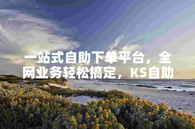 一站式自助下单平台，全网业务轻松搞定，KS自助下单更优惠。