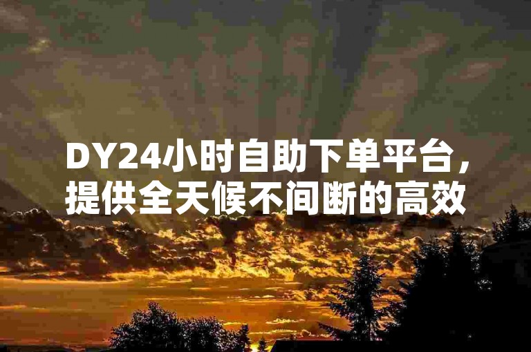 DY24小时自助下单平台，提供全天候不间断的高效服务，确保您的业务顺畅无阻。