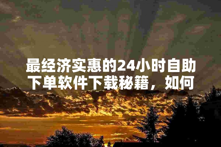 最经济实惠的24小时自助下单软件下载秘籍，如何免费获取最优惠的24小时自助服务应用！2025必备技巧