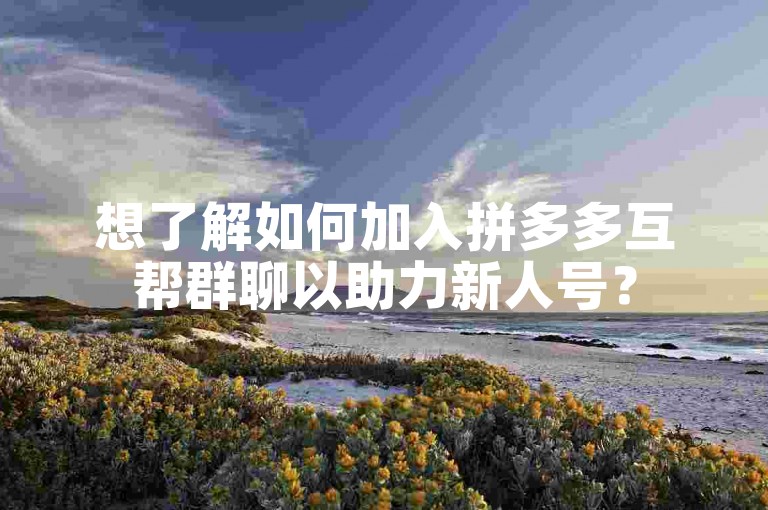 想了解如何加入拼多多互帮群聊以助力新人号？