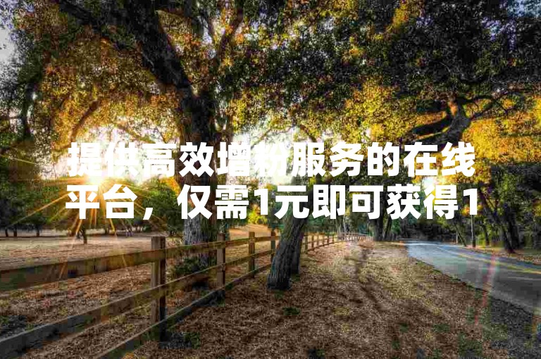 提供高效增粉服务的在线平台，仅需1元即可获得1000粉丝关注。