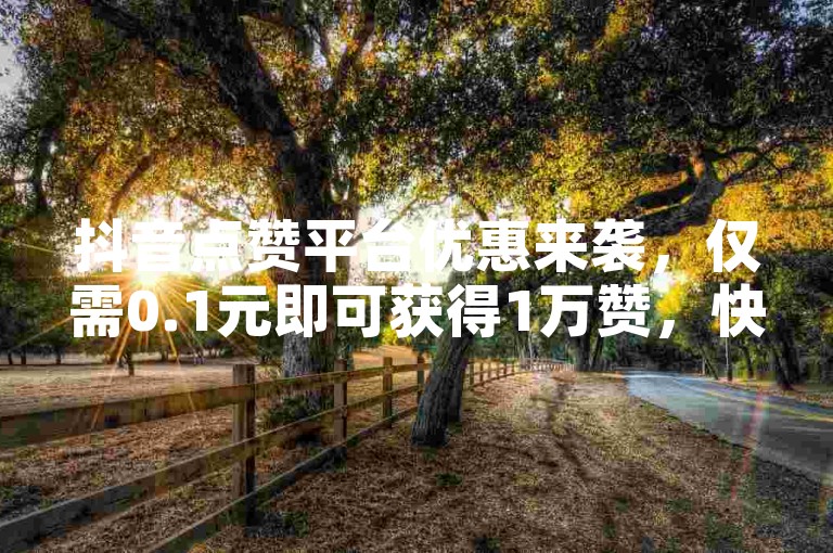 抖音点赞平台优惠来袭，仅需0.1元即可获得1万赞，快来体验极速点赞服务吧！
