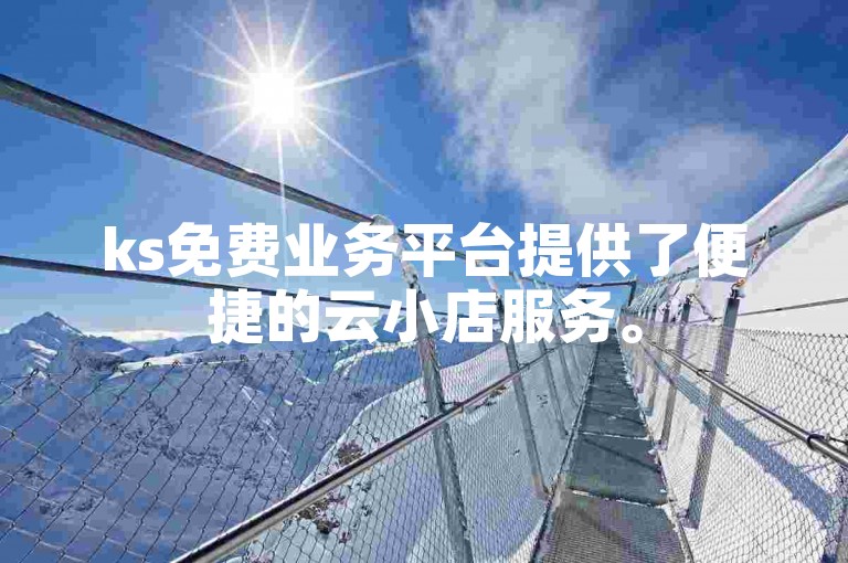 ks免费业务平台提供了便捷的云小店服务。