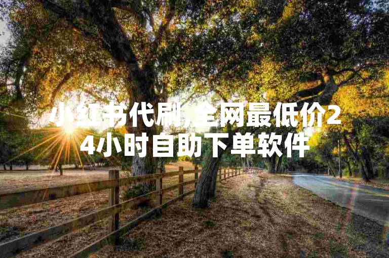 小红书代刷,全网最低价24小时自助下单软件