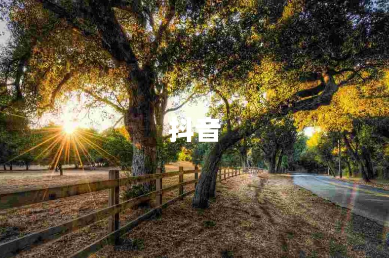 抖音50级账号的价格因卖家和账号质量而异，通常在几百到几千元不等。