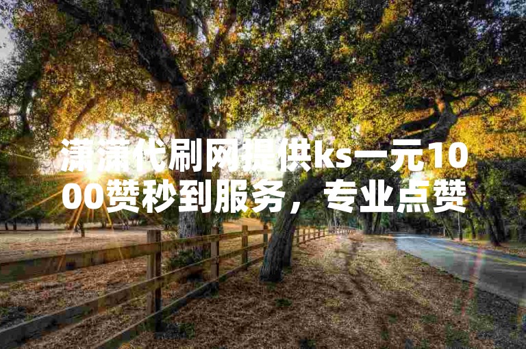 潇潇代刷网提供ks一元1000赞秒到服务，专业点赞下单平台。