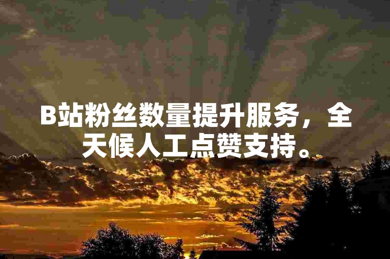 B站粉丝数量提升服务，全天候人工点赞支持。