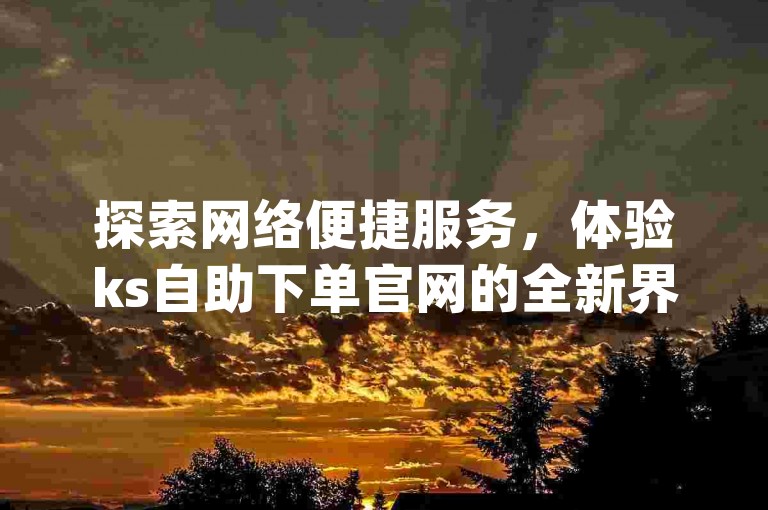 探索网络便捷服务，体验ks自助下单官网的全新界面，享受qq主页赞充值带来的即时人气提升。