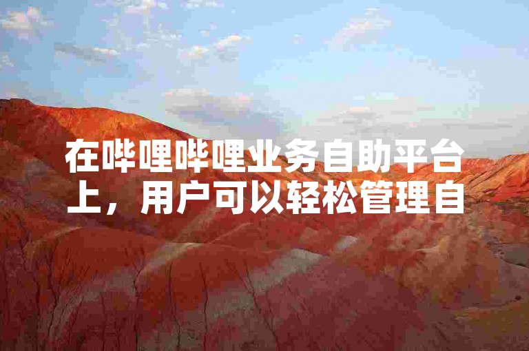 在哔哩哔哩业务自助平台上，用户可以轻松管理自己的网易云音乐粉丝增长。