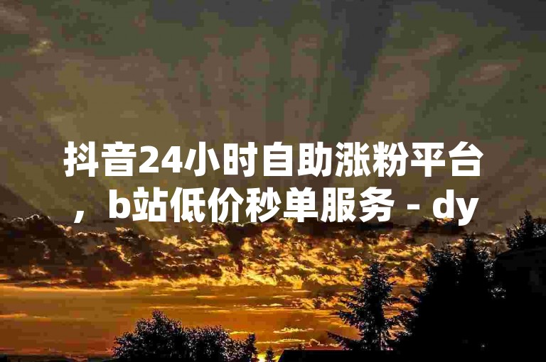 抖音24小时自助涨粉平台，b站低价秒单服务 - dy刷赞工具 - qq空间点赞充值独家优惠
