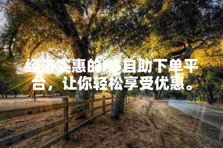 经济实惠的KS自助下单平台，让你轻松享受优惠。