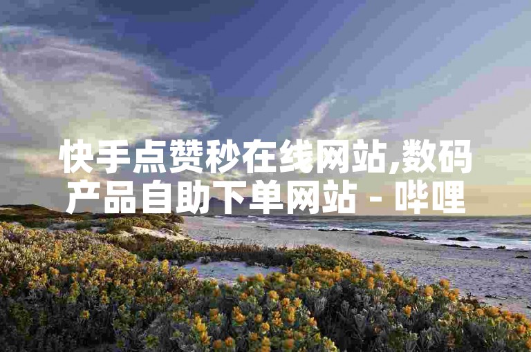 快手点赞秒在线网站,数码产品自助下单网站 - 哔哩哔哩 - 快手点赞自助平台24小时服务