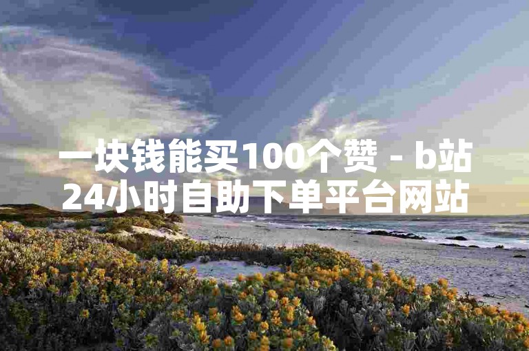 一块钱能买100个赞 - b站24小时自助下单平台网站。