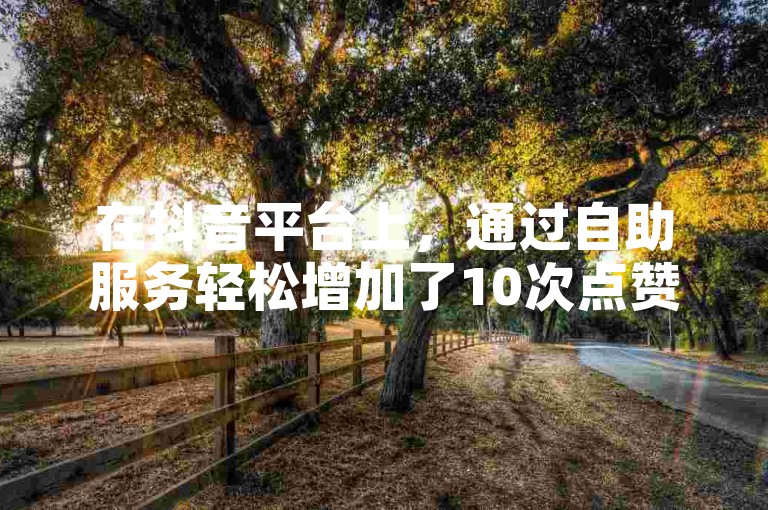 在抖音平台上，通过自助服务轻松增加了10次点赞，有效提升了直播的人气。
