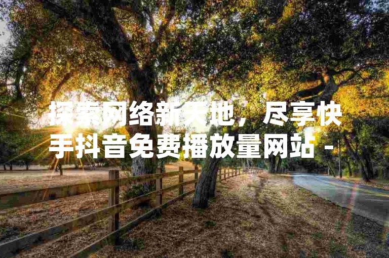 探索网络新天地，尽享快手抖音免费播放量网站 - dyks自助平台的便捷服务！