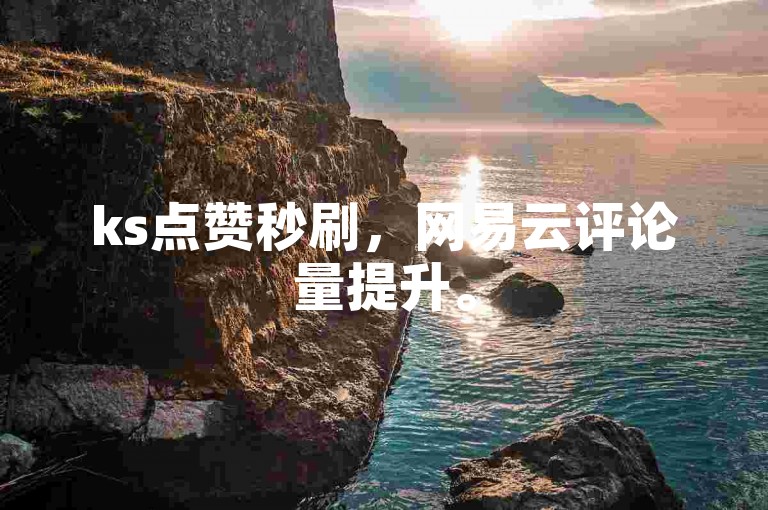 ks点赞秒刷，网易云评论量提升。