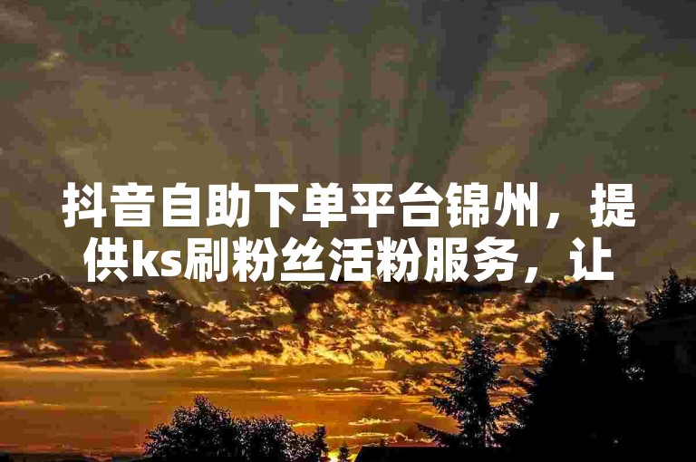 抖音自助下单平台锦州，提供ks刷粉丝活粉服务，让你的账号快速增粉。