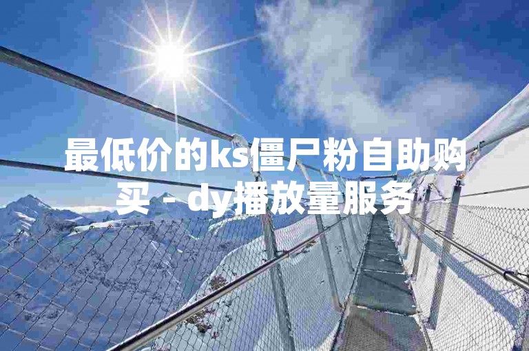 最低价的ks僵尸粉自助购买 - dy播放量服务