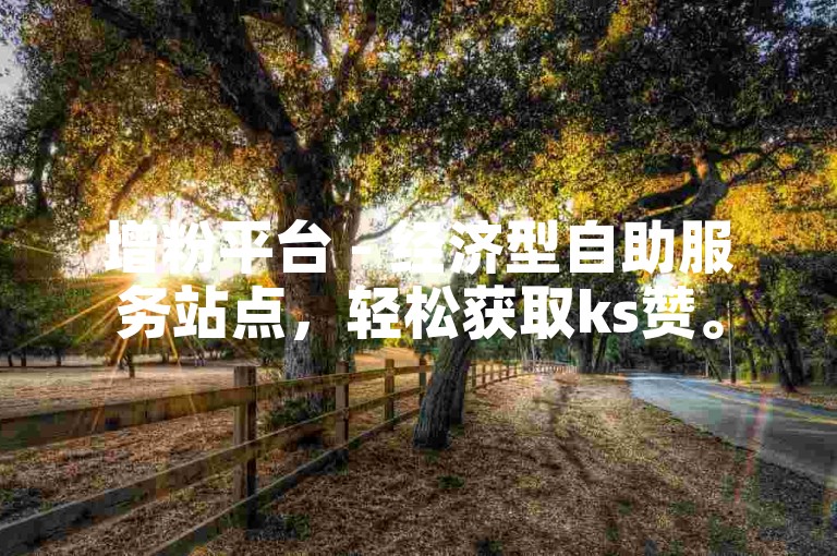 增粉平台 - 经济型自助服务站点，轻松获取ks赞。
