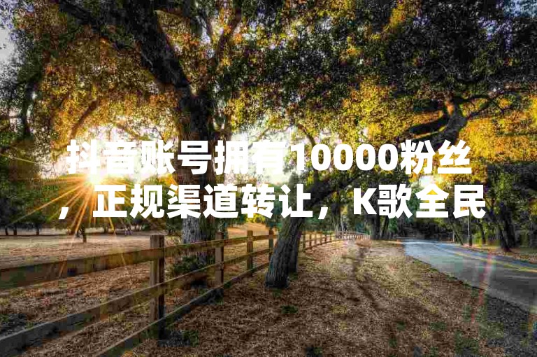 抖音账号拥有10000粉丝，正规渠道转让，K歌全民21年 - dy10元一千粉 - b站原始粉丝是随机触发吗？
