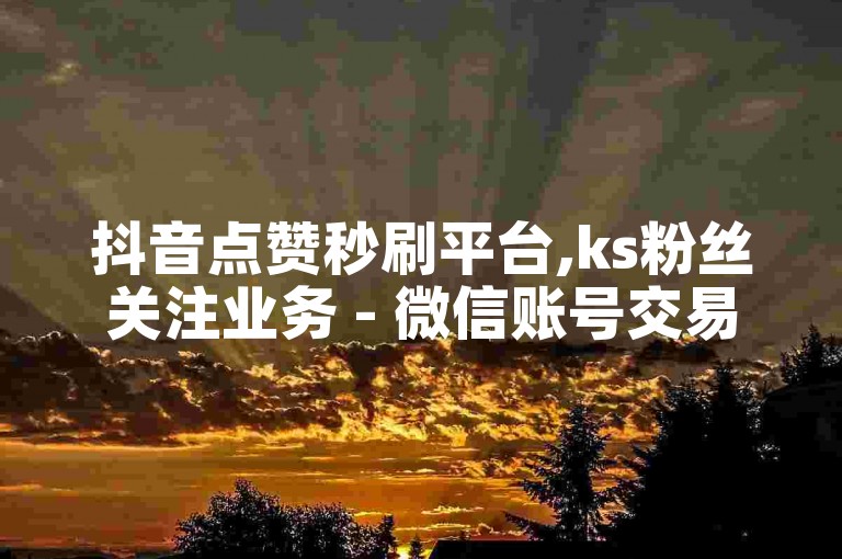 抖音点赞秒刷平台,ks粉丝关注业务 - 微信账号交易平台 - 虚拟货币充值软件全新上线！