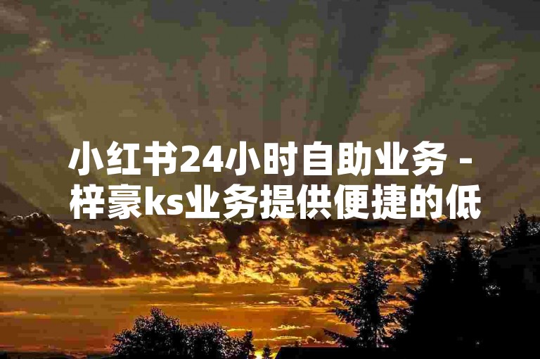小红书24小时自助业务 - 梓豪ks业务提供便捷的低价自助下单服务。