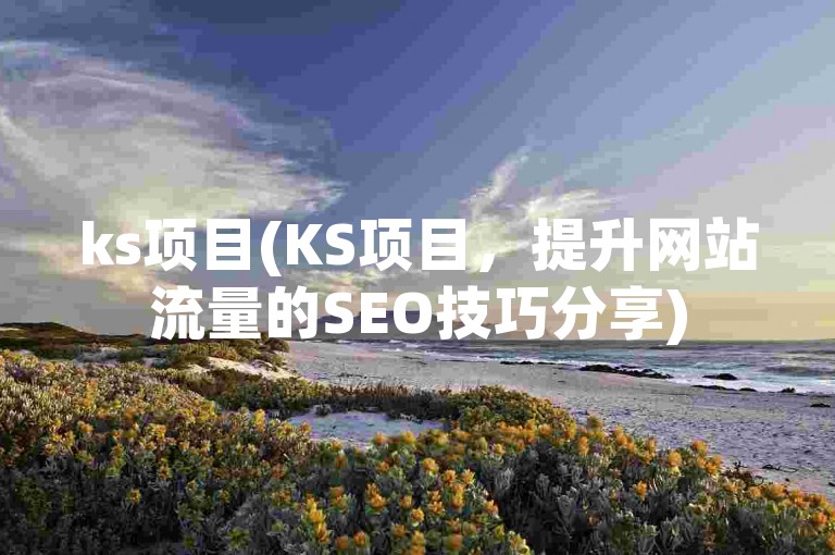 ks项目(KS项目，提升网站流量的SEO技巧分享)