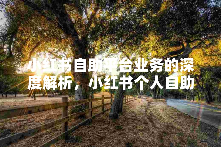 小红书自助平台业务的深度解析，小红书个人自助推广平台业务！2025必备技能