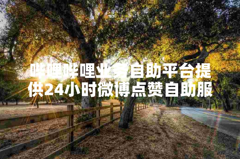 哔哩哔哩业务自助平台提供24小时微博点赞自助服务，助力用户轻松提升社交影响力。