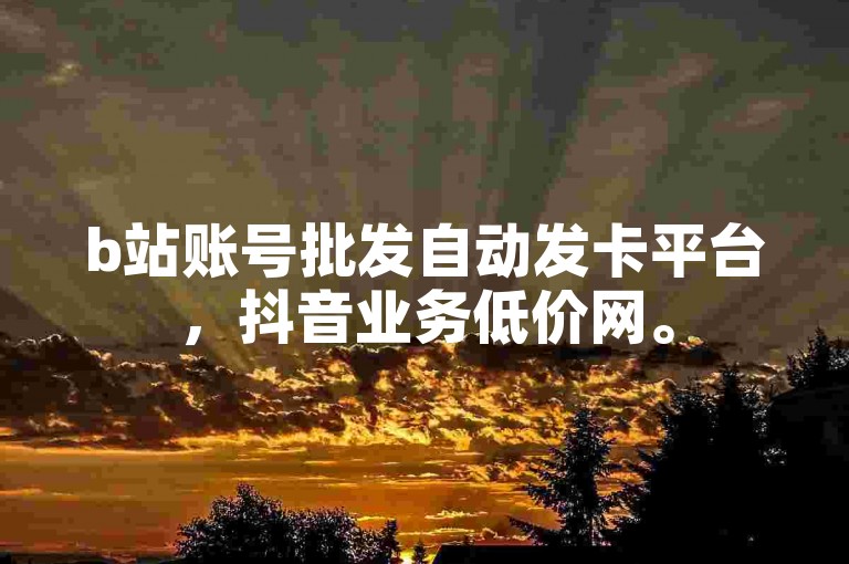 b站账号批发自动发卡平台，抖音业务低价网。