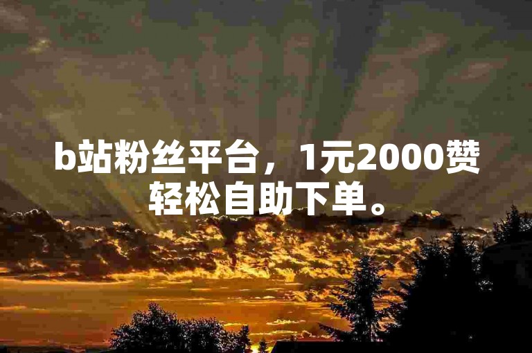 b站粉丝平台，1元2000赞轻松自助下单。