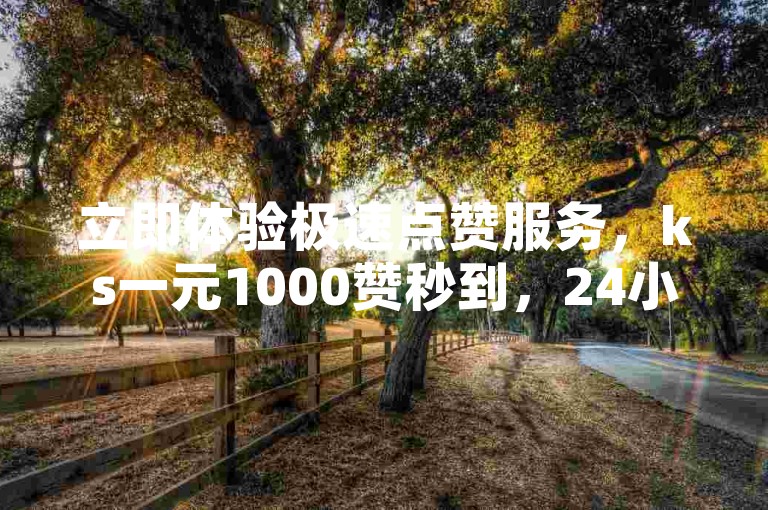 立即体验极速点赞服务，ks一元1000赞秒到，24小时自助下单网随时为您助力！