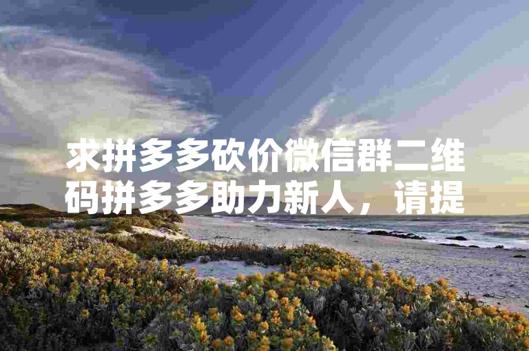 求拼多多砍价微信群二维码拼多多助力新人，请提供一个新的句子。