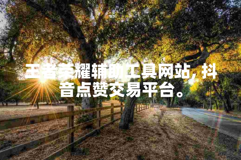 王者荣耀辅助工具网站, 抖音点赞交易平台。