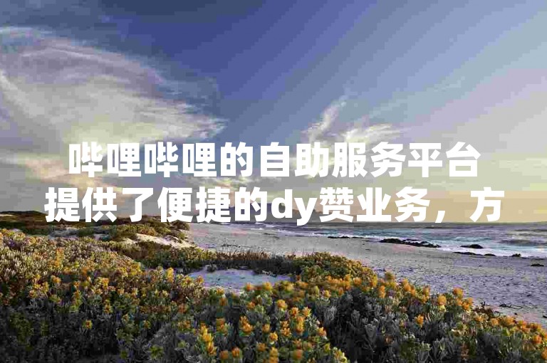 哔哩哔哩的自助服务平台提供了便捷的dy赞业务，方便用户快速提升视频的点赞量。