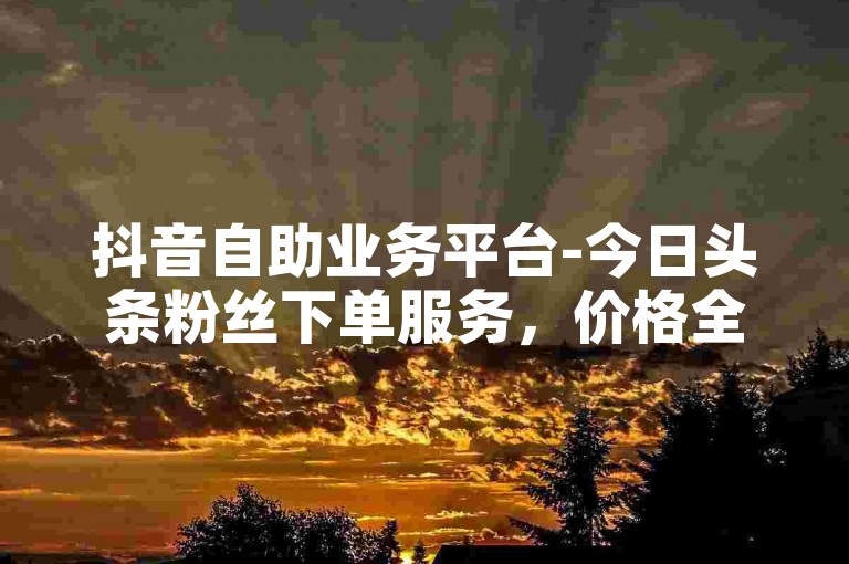 抖音自助业务平台-今日头条粉丝下单服务，价格全网最低。