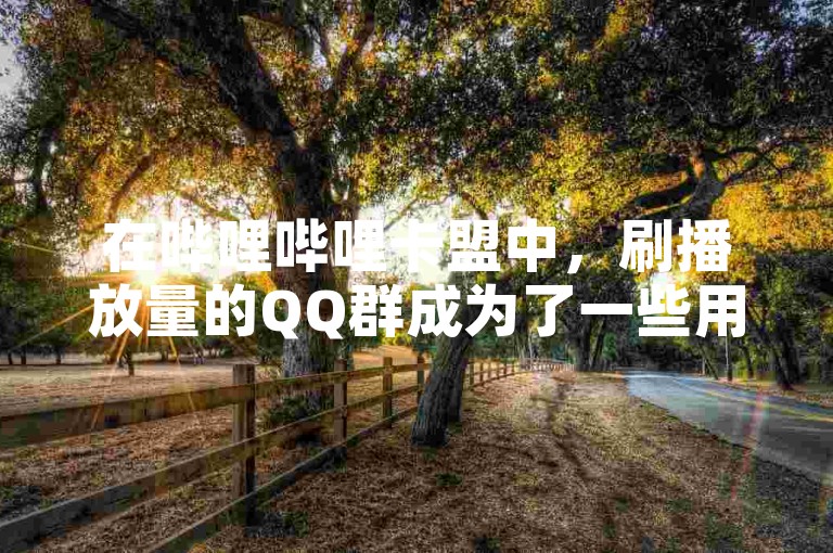 在哔哩哔哩卡盟中，刷播放量的QQ群成为了一些用户提升视频热度的非正规途径。