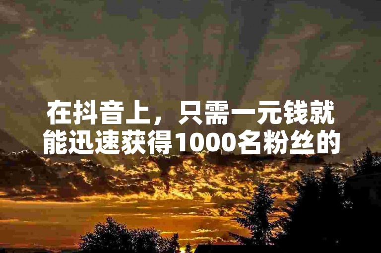 在抖音上，只需一元钱就能迅速获得1000名粉丝的关注。