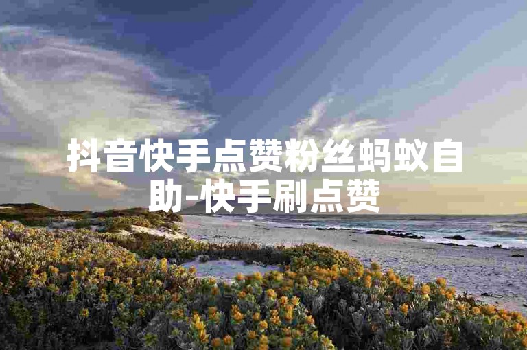 抖音快手点赞粉丝蚂蚁自助-快手刷点赞