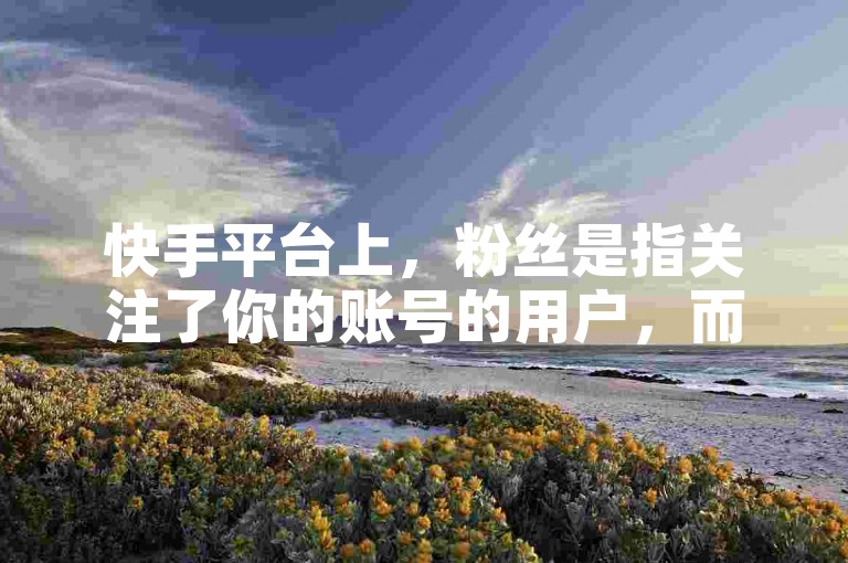快手平台上，粉丝是指关注了你的账号的用户，而你关注的则是你感兴趣的其他用户或账号。