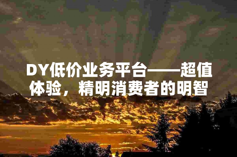 DY低价业务平台——超值体验，精明消费者的明智之选！2024年必备知识。