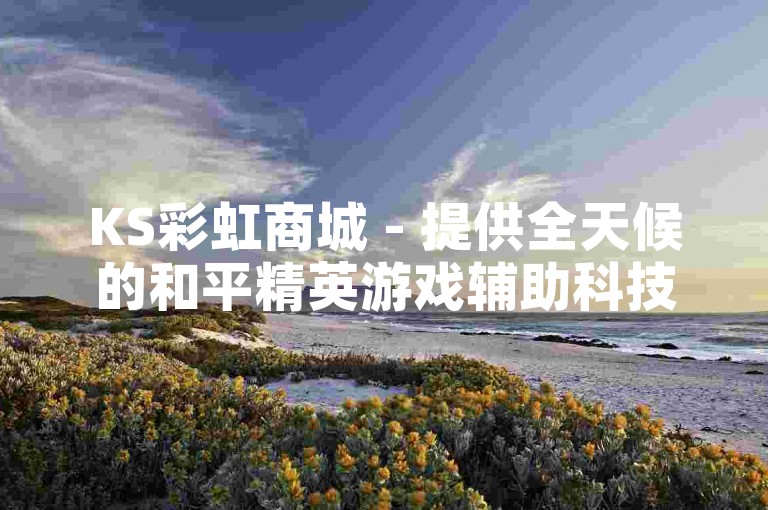 KS彩虹商城 - 提供全天候的和平精英游戏辅助科技服务。