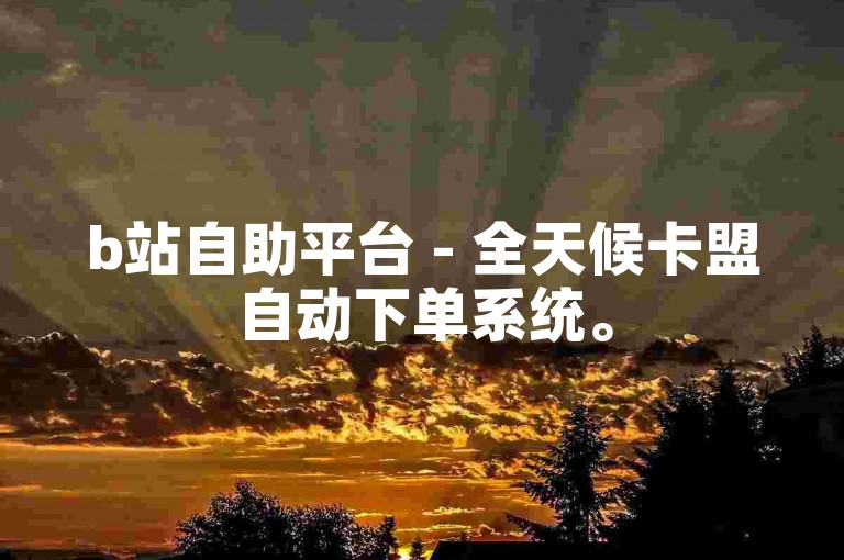 b站自助平台 - 全天候卡盟自动下单系统。
