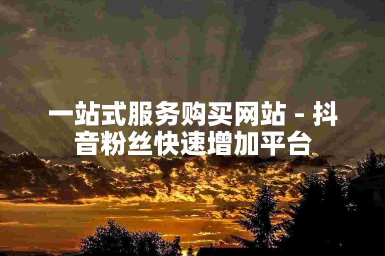 一站式服务购买网站 - 抖音粉丝快速增加平台