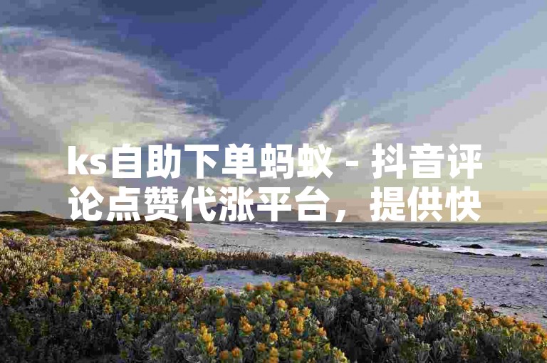 ks自助下单蚂蚁 - 抖音评论点赞代涨平台，提供快速、安全的服务。